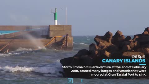 Canarie - Full Video